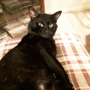 Meet your Posher, Robbie